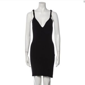 NWT Dion Lee Dress